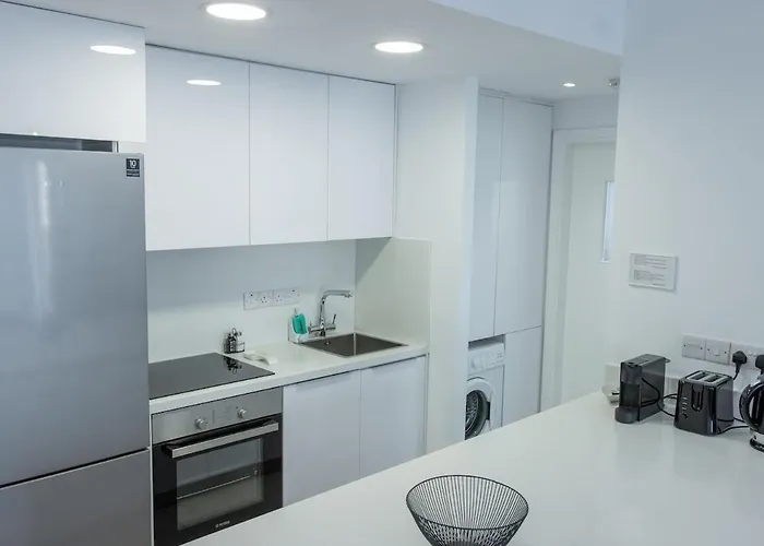 Stylish Modern Center 公寓 尼科西亚